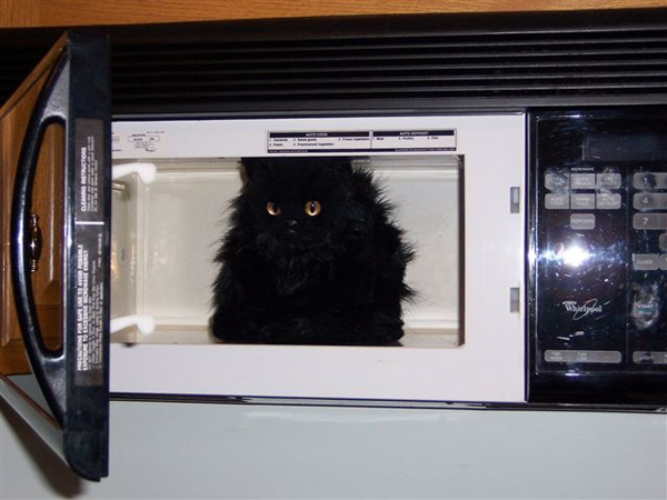 cat-appliance