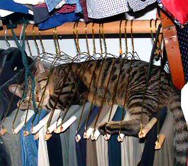 cat-hanger