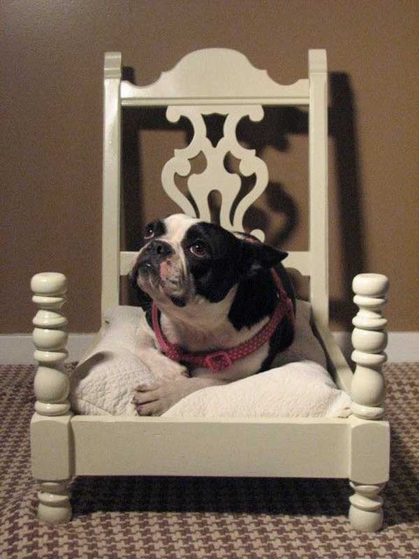 chair-to-dog-bed