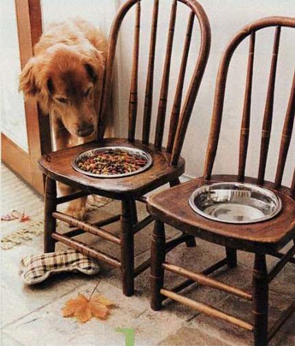 chairs-dog-bowl-chair