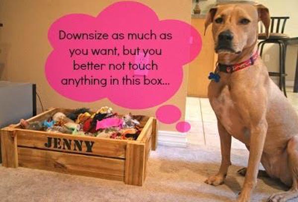 dog-downsizing