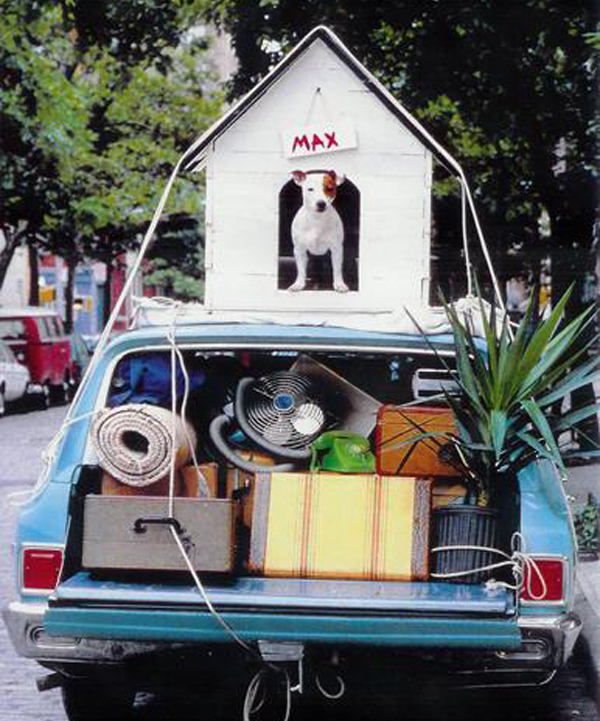 dog-mover
