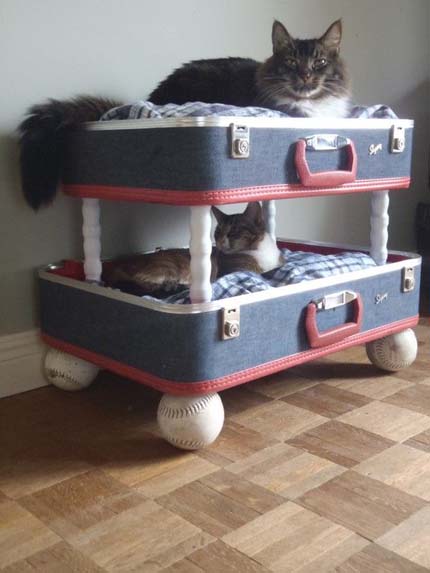 luggage-cat-bed