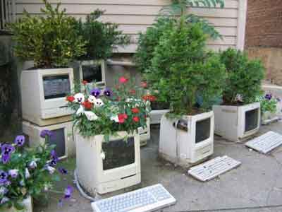 old-mac-planters