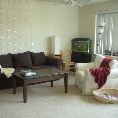 organized living room